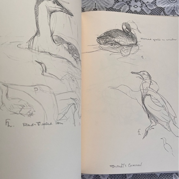 Birds of the West Coast Vol 1 Painting, drawing & text by J.F. Lansdowne. Nature - Picture 13 of 17